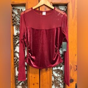 Burgundy Velvet Sheer Blouse